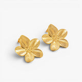 Boucles Flora